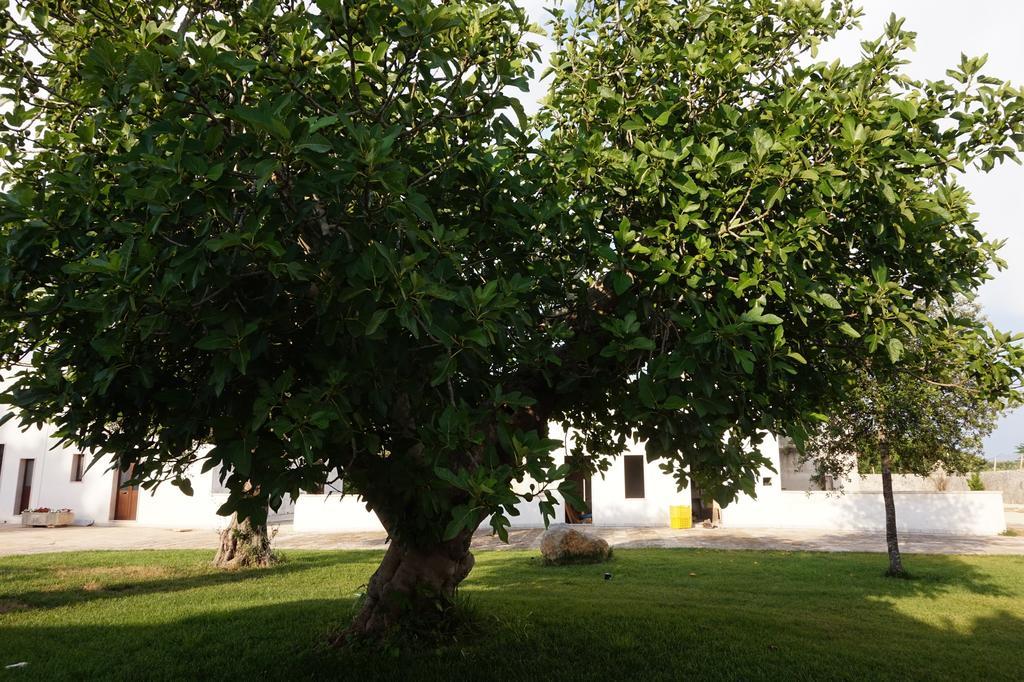 Masseria Pappo Villa Copertino Exterior photo